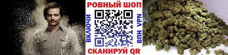 Купить закладку Тайга Экстази  Alpha-PVP  Мефедрон  Cocaine 